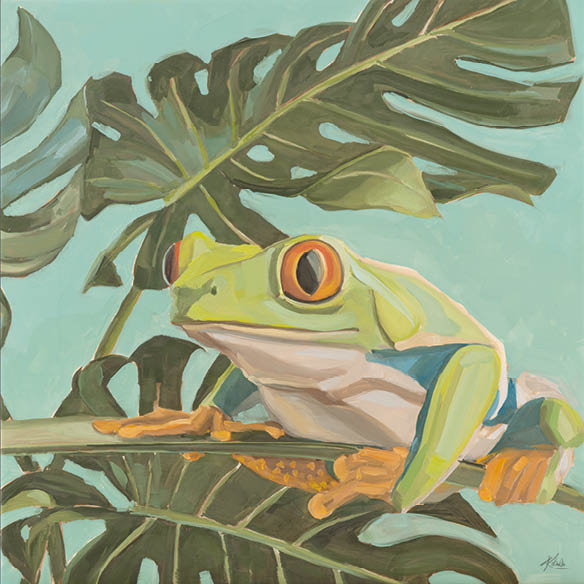 Art Card, red-eyed tree frog Lotte, 20x20 cm
