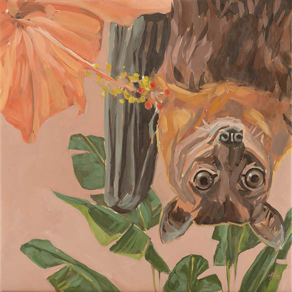 Art Card, flying fox Franka, 20x20 cm